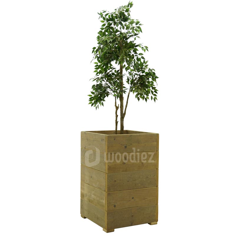 Ficus huren inclusief steigerhouten plantenbak