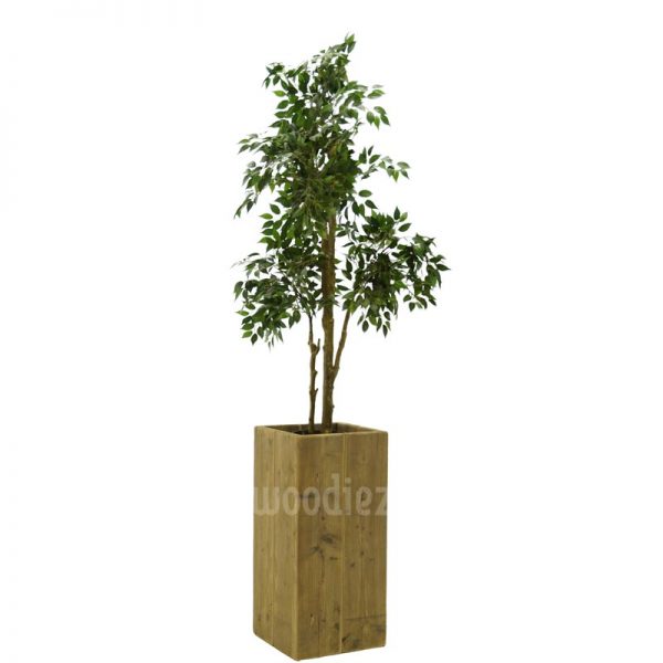 Ficus kunstplant huren inclusief plantenbak van steigerhout
